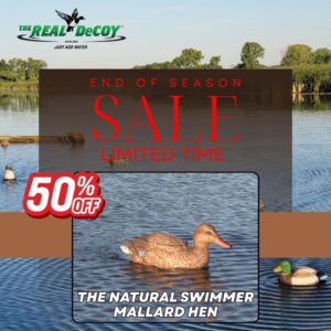 THE NATURAL Swimmer, Mallard HEN 50% OFF