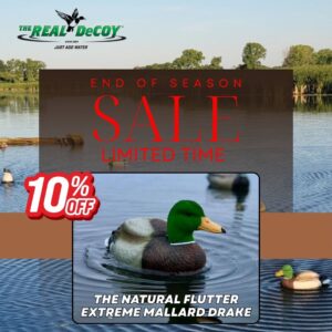 THE NATURAL FLUTTER EXTREME MALLARD DRAKE, Flocked Head