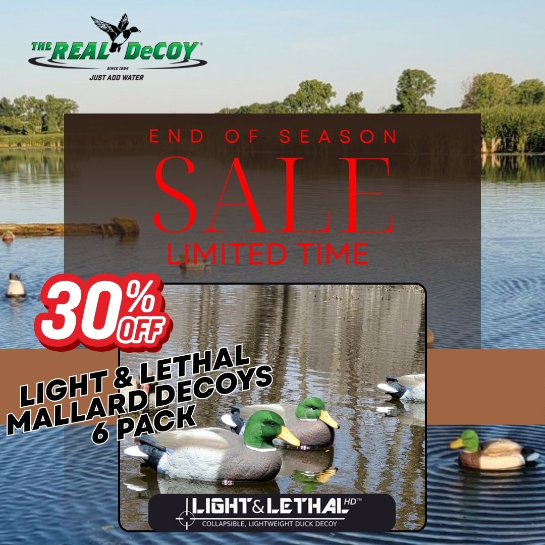Light & Lethal Mallard Decoys, Drakes Flocked Head
