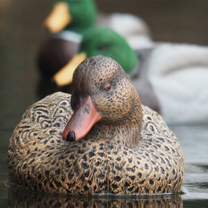 X-PACK FULL - THE REAL DeCOY