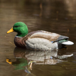 X-PACK FULL - THE REAL DeCOY