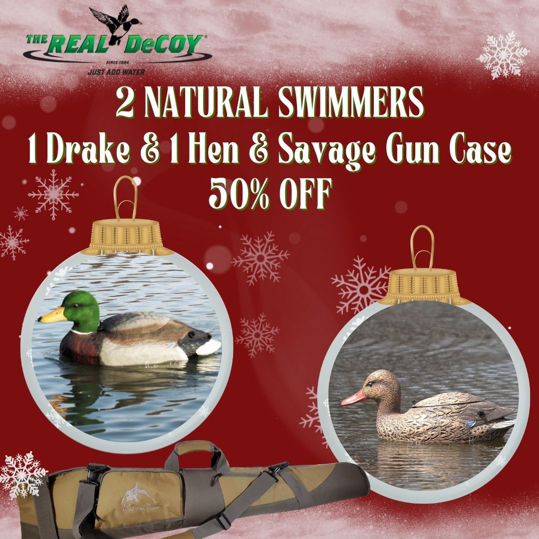50% OFF 2 Natural Swimmer, 1 Drake & 1 Hen + Gun Case