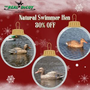 THE NATURAL Swimmer, Mallard HEN 30% OFF