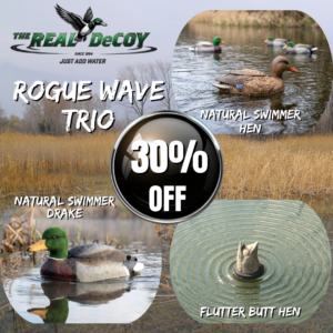Rogue Wave Trio
