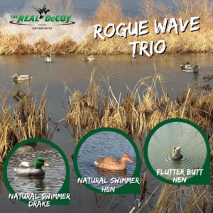 Rogue Wave Trio