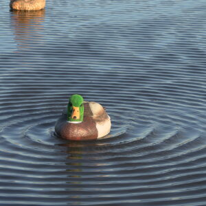 THE NATURAL FLUTTER EXTREME MALLARD DRAKE, Flocked Head