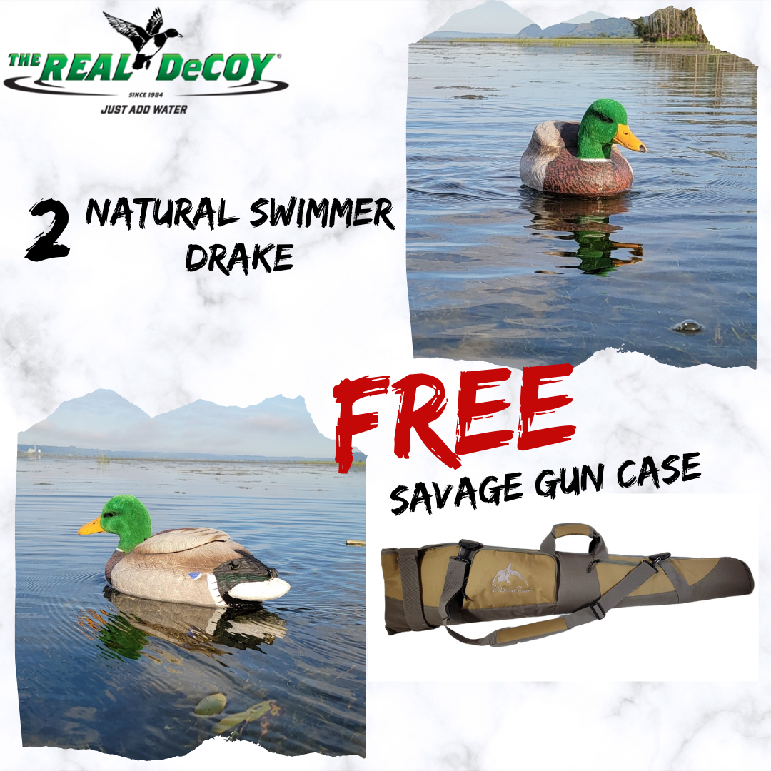 2 Natural Swimmer, Drake + Gun Case