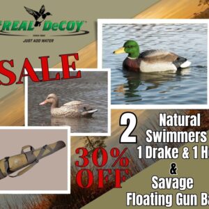 30%  OFF 2 Natural Swimmer,  1 Drake & 1 Hen + Gun Case