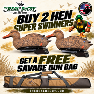 2 Natural Swimmer,  Hens + Free Gun Case